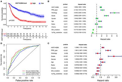 High Levels of HIST1H2BK in Low-Grade Glioma Predicts Poor Prognosis: A Study Using CGGA and TCGA Data